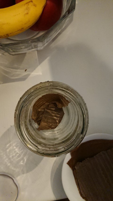 carboard in glass jar for oyster mushroom growth