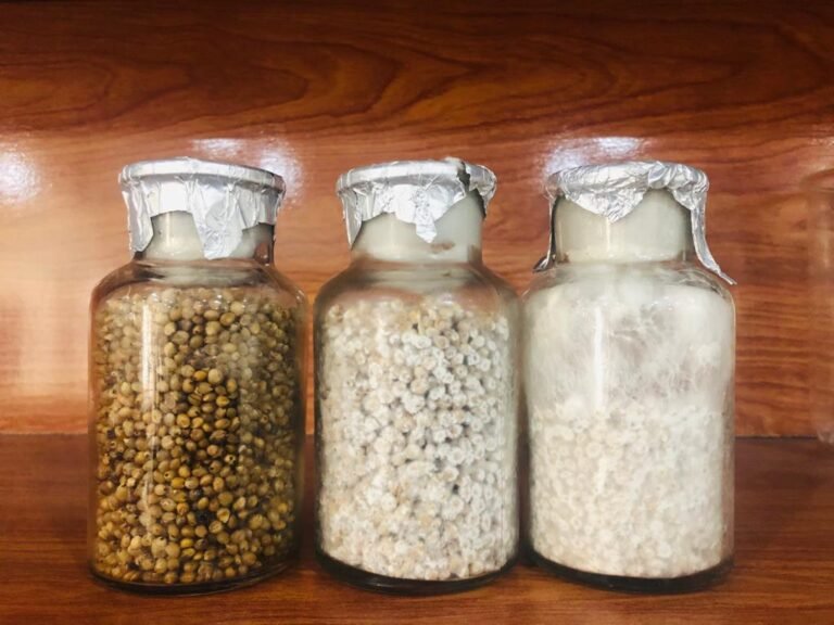 Type of Substrates for growing oyster mushroom